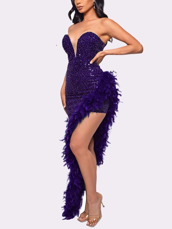 Women's Sequin Feather Trimmed Dress