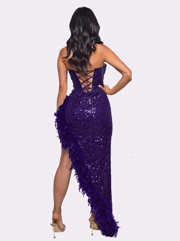 Women's Sequin Feather Trimmed Dress