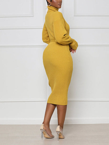 Turtleneck Knit Tie Waist Dress